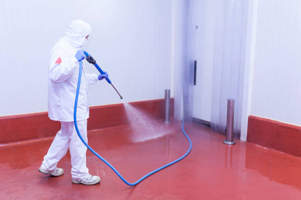 Best Pre-Holiday Cleaning  in Golden Meadow, LA
