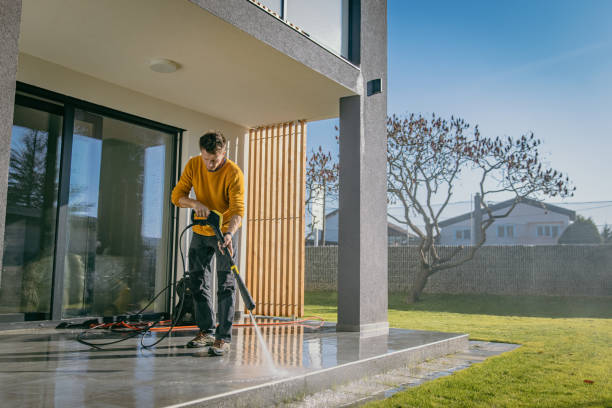 Best Driveway Pressure Washing  in Golden Meadow, LA